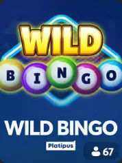 Wild Bingo BC Game Montréal game cover
