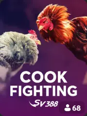 Cock Fighting BC Game Montréal game cover